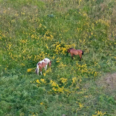 Mountain Volta Vilă Lič