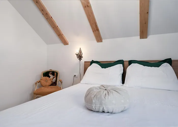 Vilă Mountain Volta