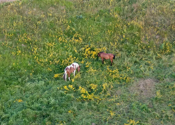 Mountain Volta Villa Lič